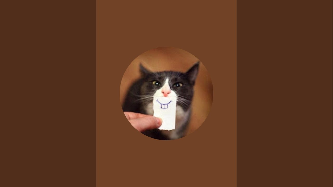 Mr. iös überträgt einen Livestream.