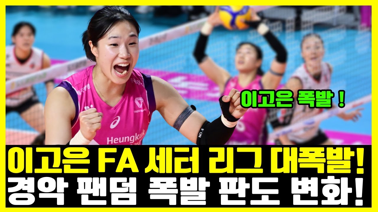 &bull; &ldquo;이고은의 FA 결정 하나가 여자배구 전체를 뒤흔든다고요?&rdquo; 팬들도 몰랐던 단 한 명의 세터가 일으킨 거대한 반전의 서막