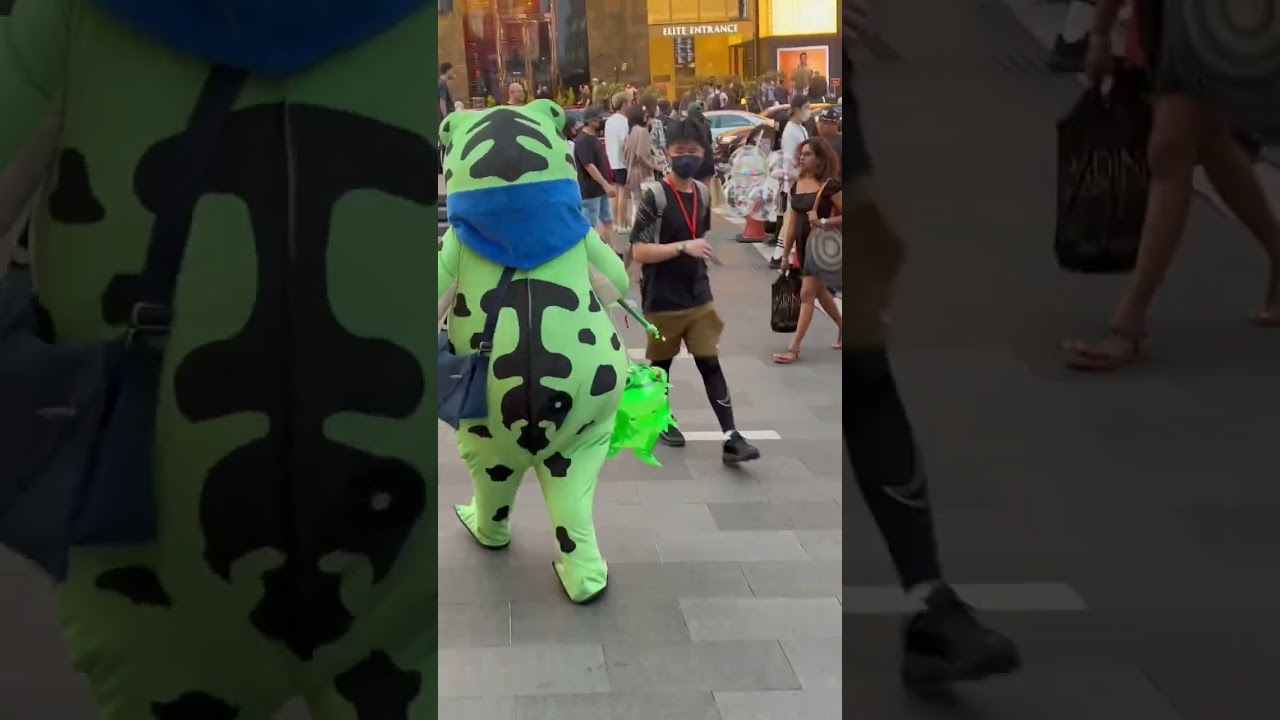 Lompat Si Katak Lompat!