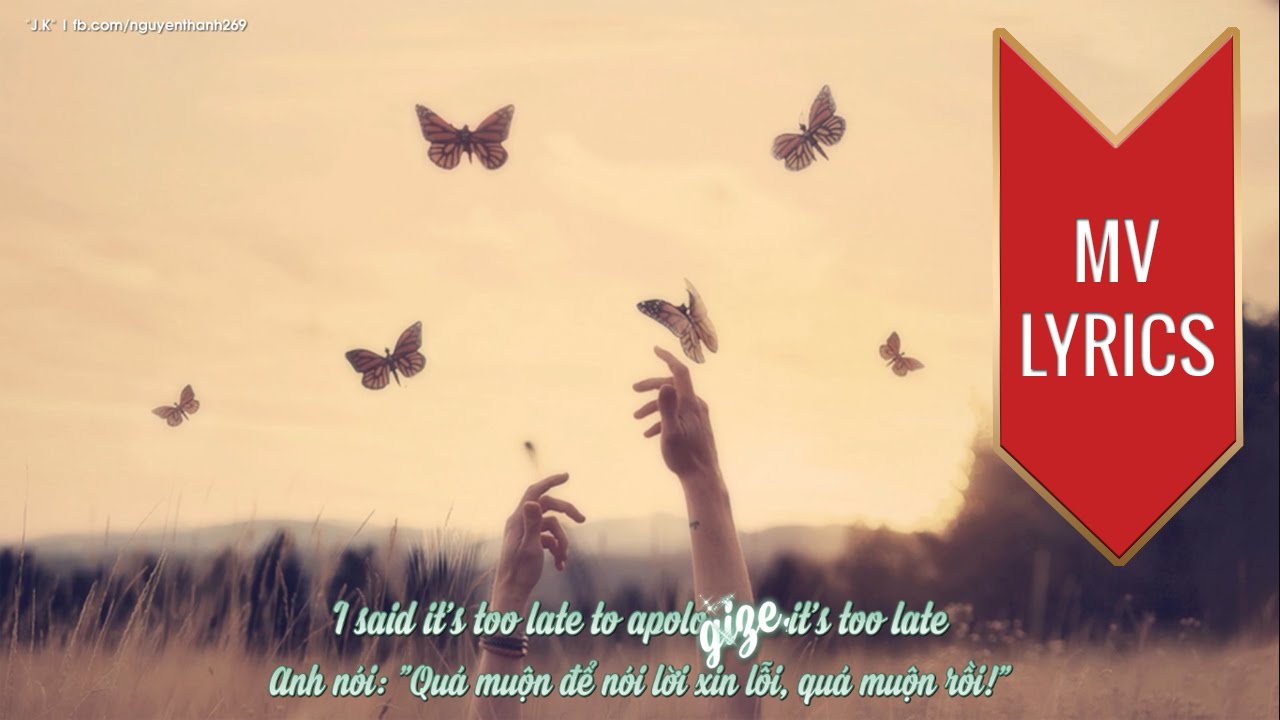 Apologize | Timbaland ft. OneRepublic | Lyrics [Kara + Vietsub HD]