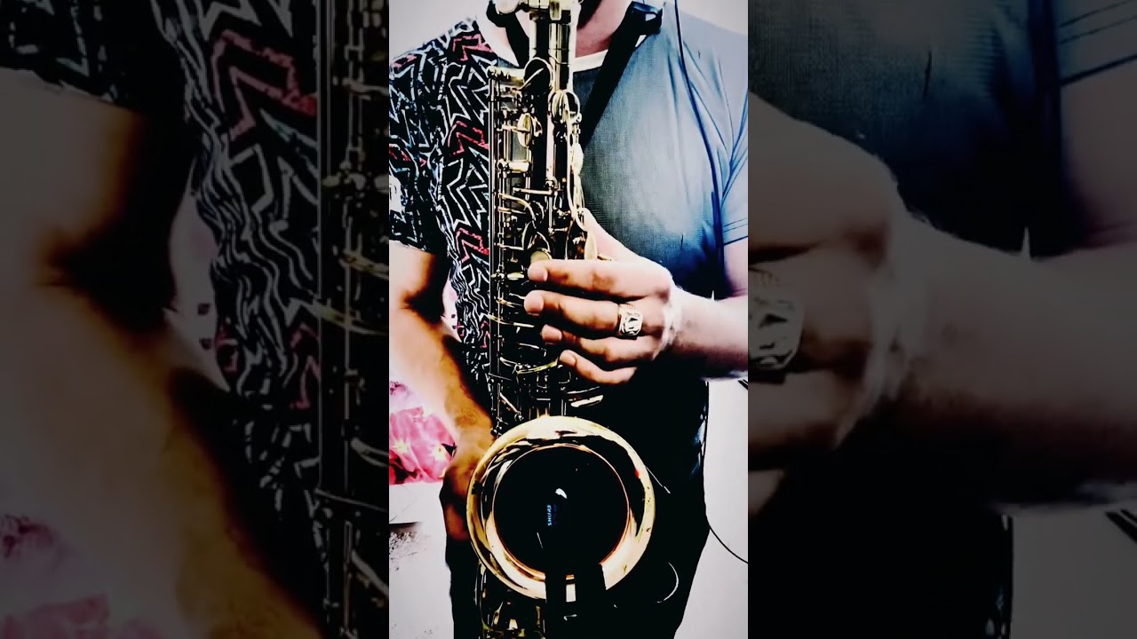 Ани Лорак - Удержи мое сердце (SAX cover by OppositeMus)