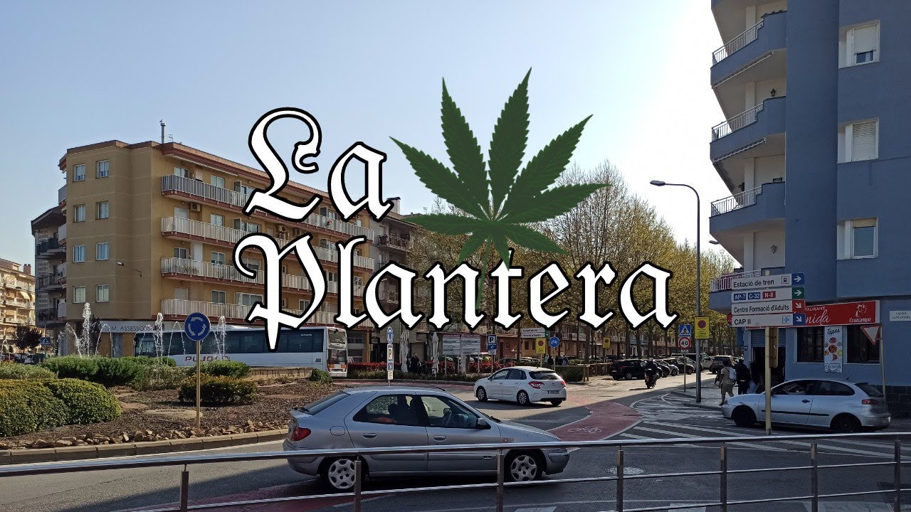 VLOG en el barrio de La Plantera | Joelito 369