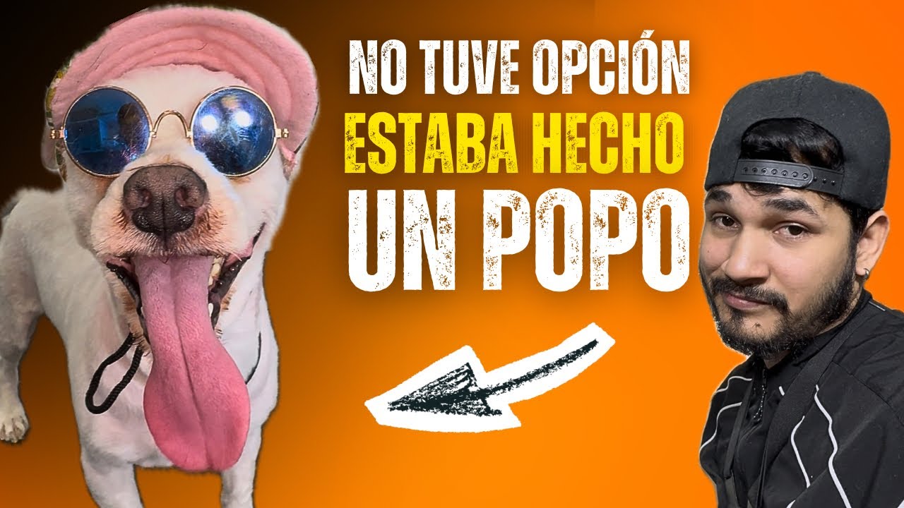 Casi le ESPICHO EL OJO a este perro inquieto, que peligro😨 