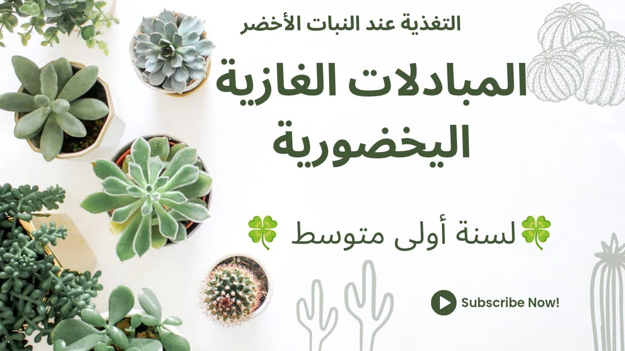 🍀المبادلات الغازية اليخضورية 🍀|🍀 علوم طبيعة و الحياة ☘️|التغذية عند النبات الأخضر|⚡ سنة أولى متوسط ⚡