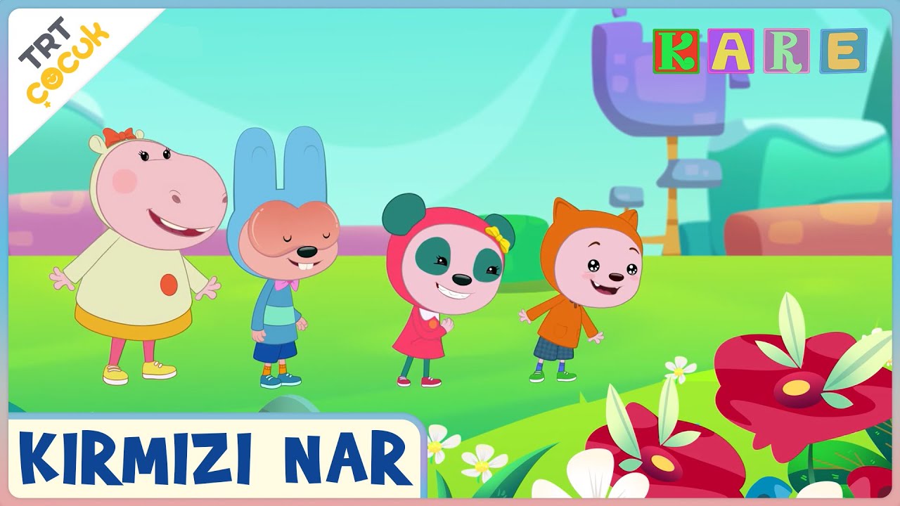 Kare | Kırmızı Nar