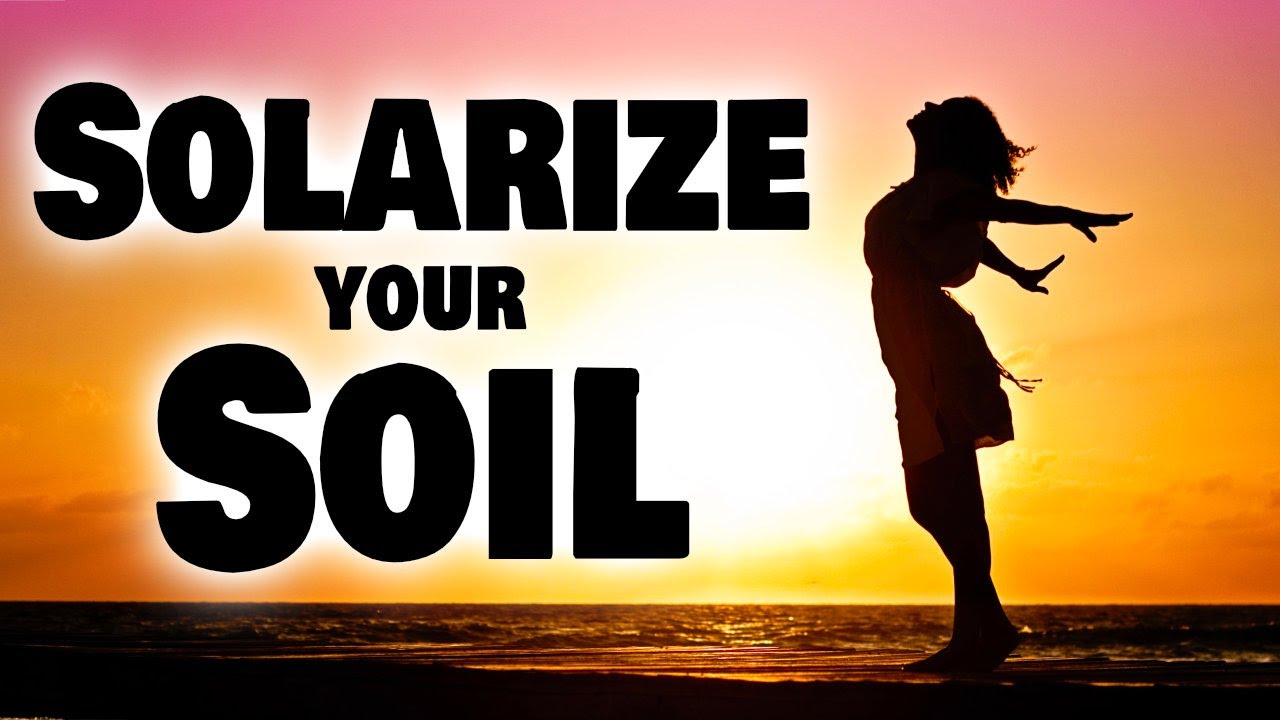 Solarizing Raised Garden Beds: Kill Root Knot Nematodes Naturally
