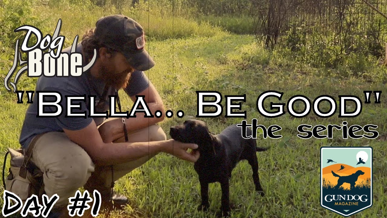 "Bella... Be Good" Puppy Training Series Following Bella's Life | Ep: #1