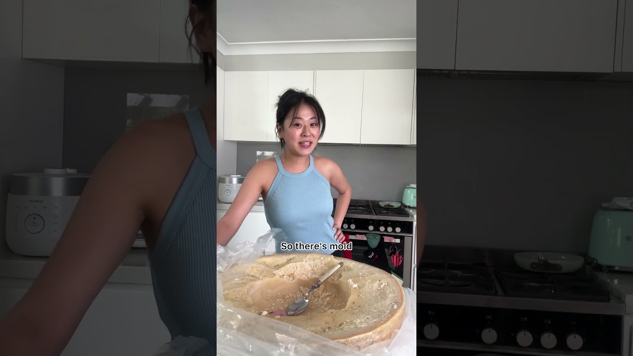Help me! What should I do? #cheesewheel