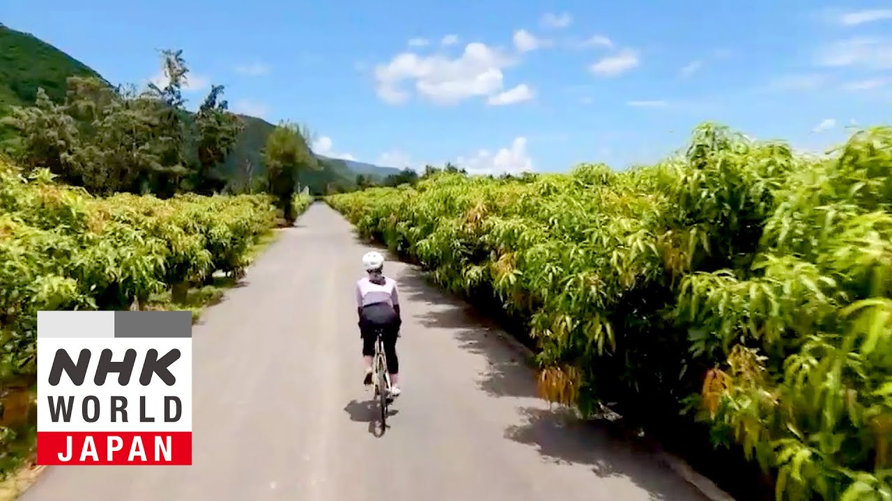 CYCLE AROUND TAIWAN: Into the Future, Together - CYCLE AROUND JAPAN