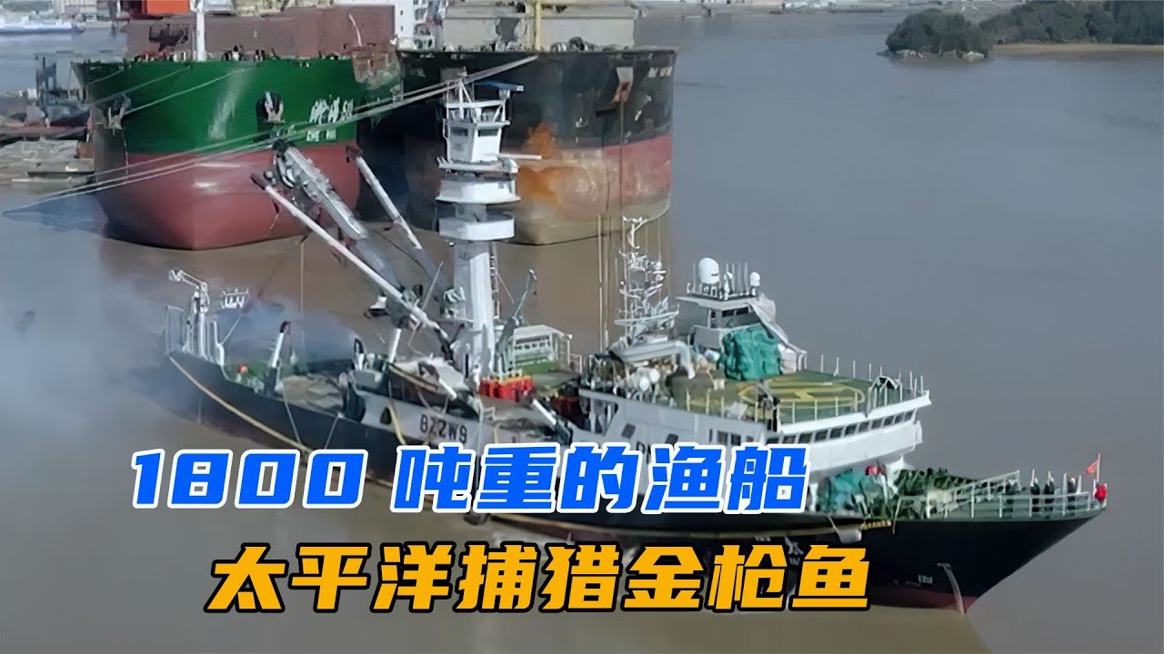 1800噸位的圍網漁船，征戰3500公里外的太平洋，只為珍貴的金槍魚