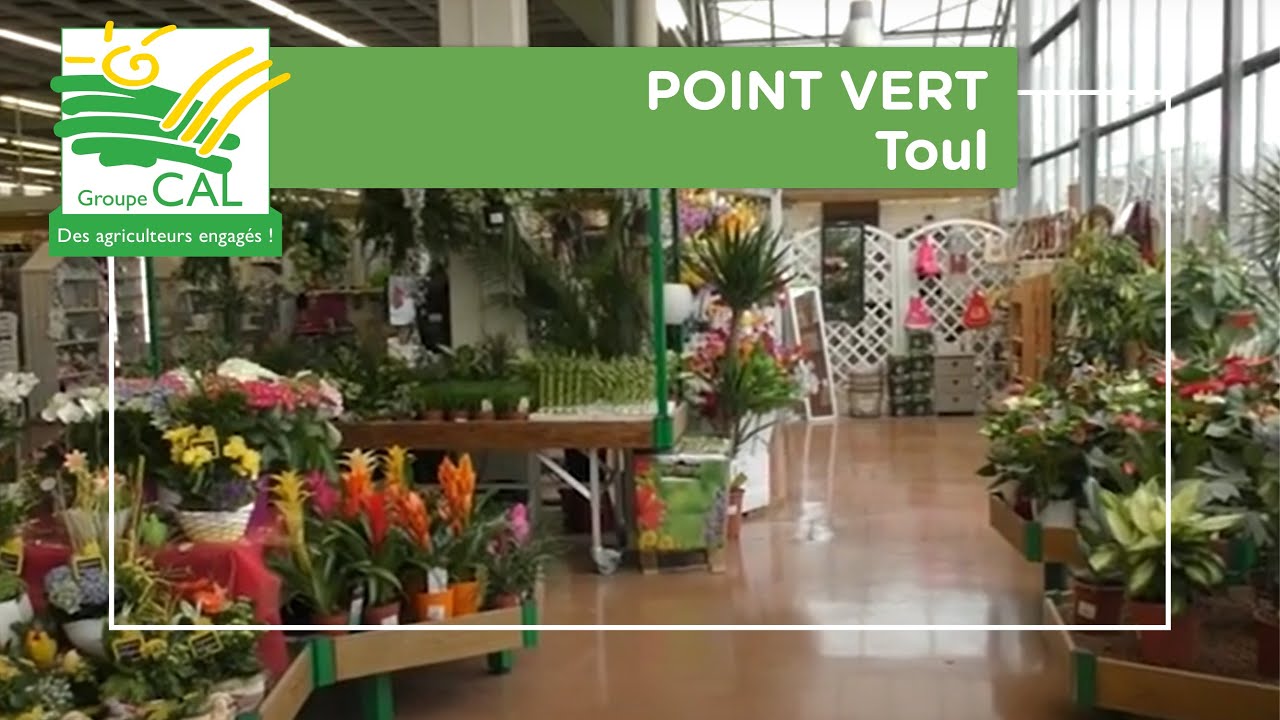 Point Vert Toul