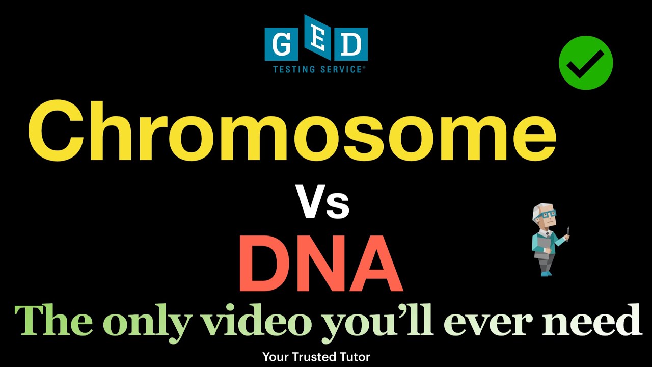 Chromosome Vs DNA | How do they differ? DNA နဲ့ Chromosome ဘာကွာသလဲ