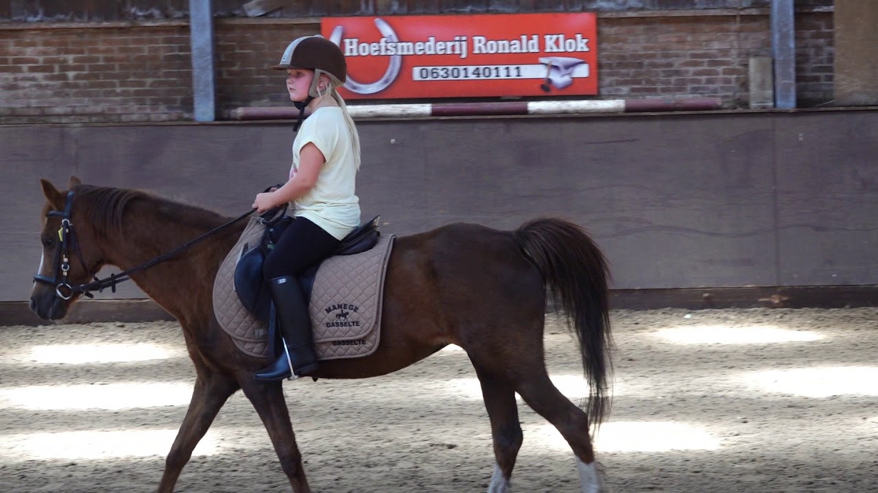 Paarden Manege Gasselte lessen