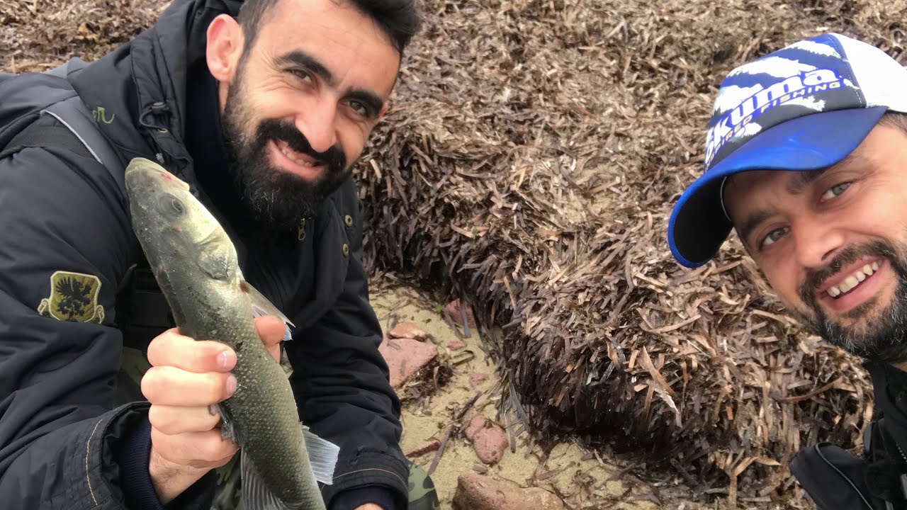 İspendek Avı Ve Suya İade