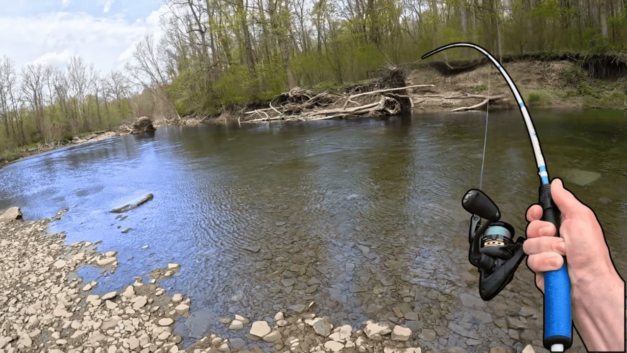 This River was Loaded with Fish!!! (New PB!)