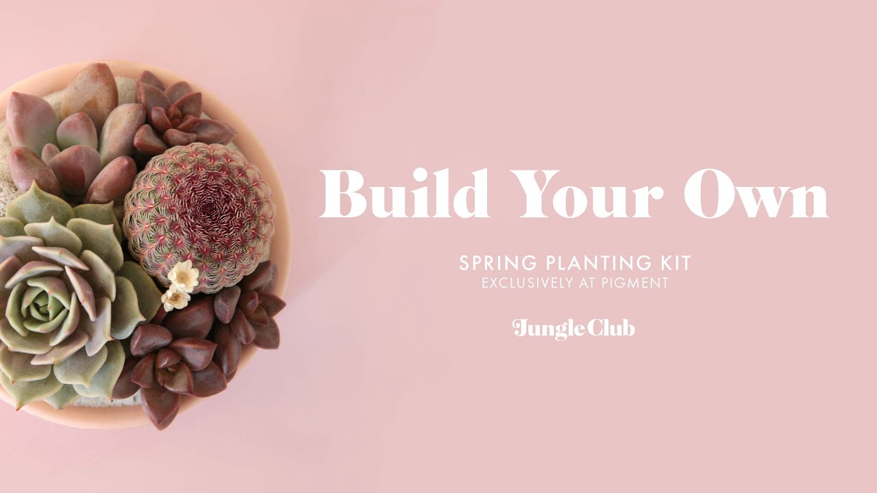 Jungle Club:  Spring Planting Kit