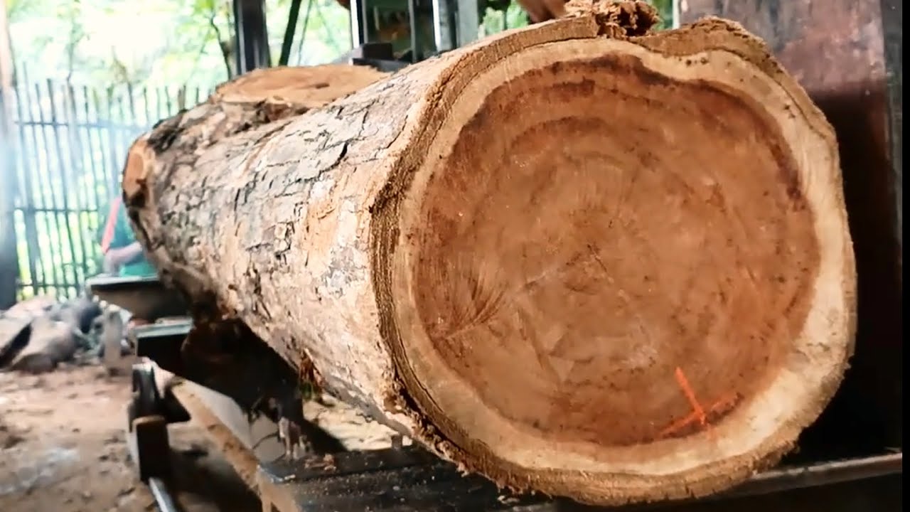 The SUPER amazing beauty of wood grain can be seen at the sawmill