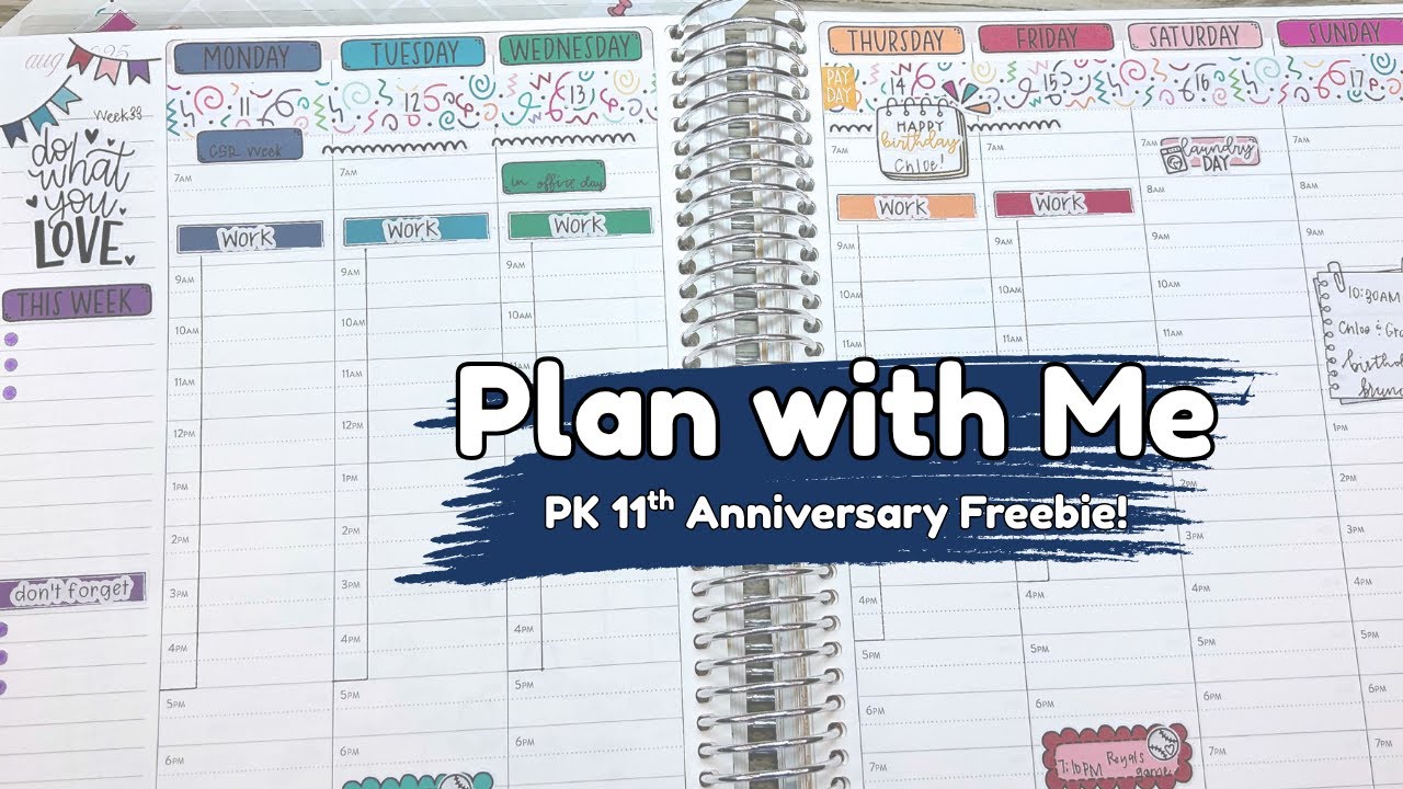 Plan with Me // Erin Condren Hourly LifePlanner // August 11th - 17th