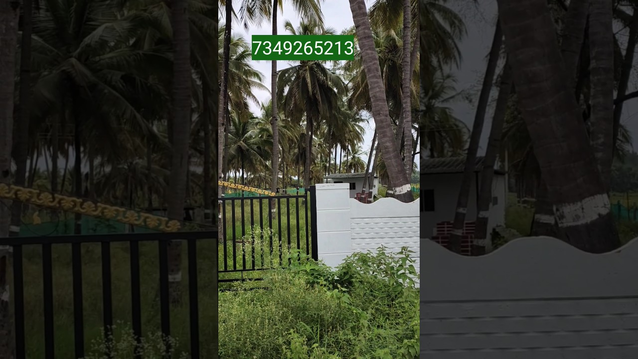 Mysore City Near 26 Gunta Farm House Sale 5.5 Km From Ring Rd