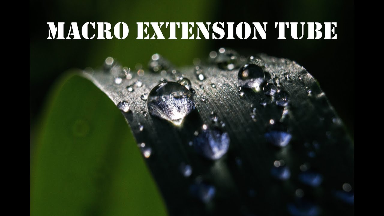Macro Extension Tube  -  A Simple & Detailed Review !!