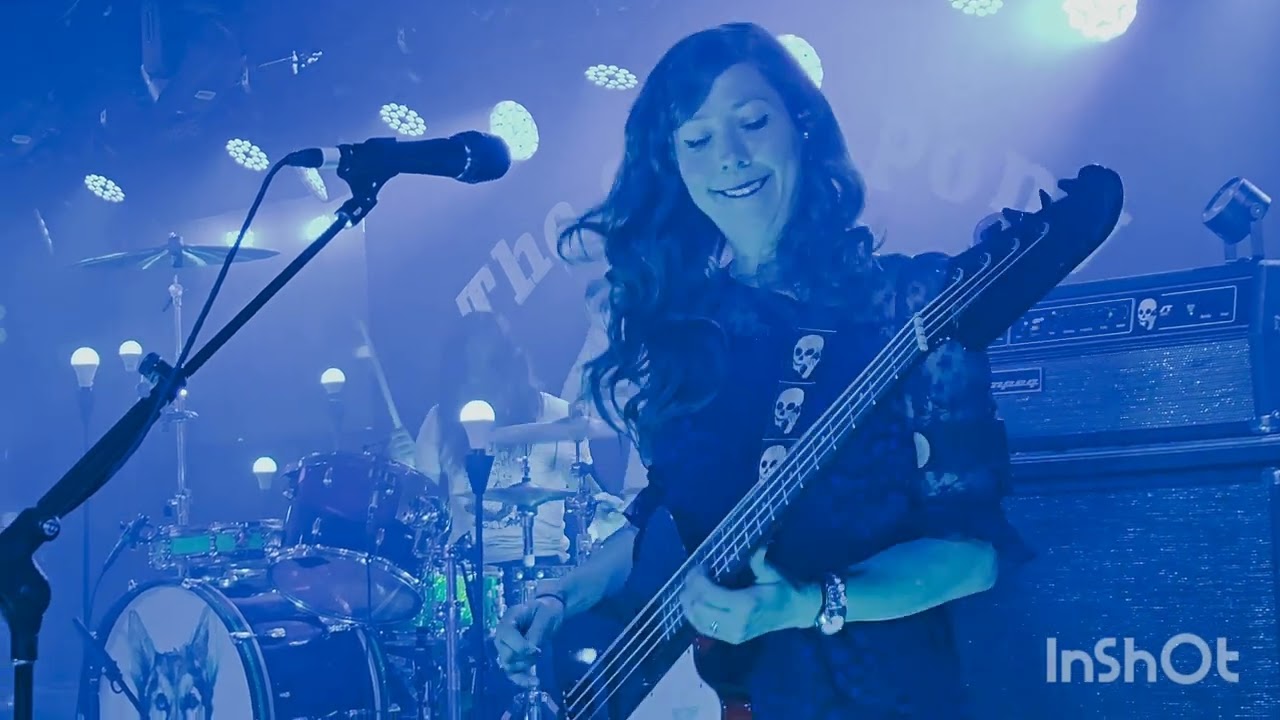 Silversun Pickups-LIVE 