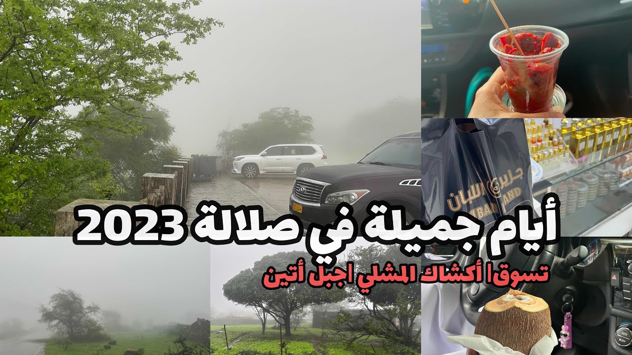 سلسلة #يوميات في #صلالة #2023 (٢)|أفضل بخور في صلالة |زرنا جبل الضباب |أكلنا من أكشاك المشلي🌴