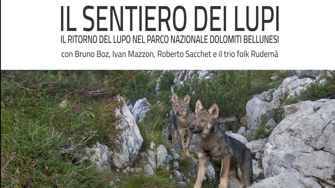 Il Sentiero dei Lupi