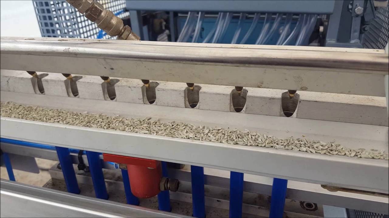 Semoir pneumatique à bec monté sur motteuse