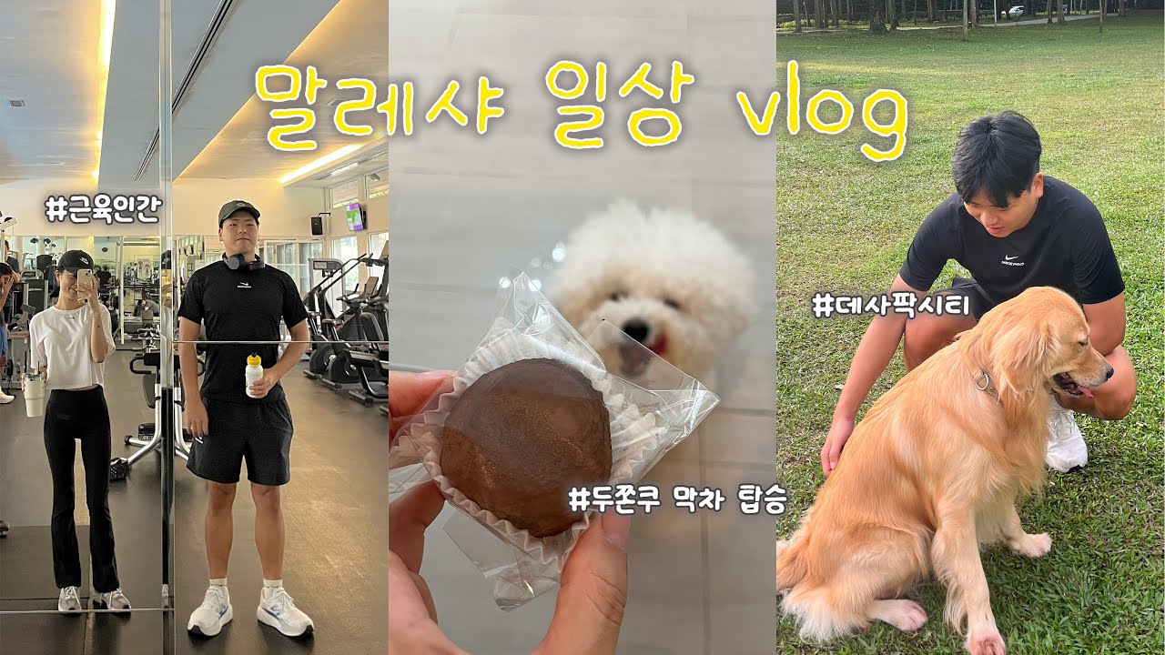 Eng 🇲🇾 꿈의 동네로 이사하다..😭✨ Moving to Desa Park City 🌴 쿠알라룸푸르 말레이시아 일상 브이로그 📹