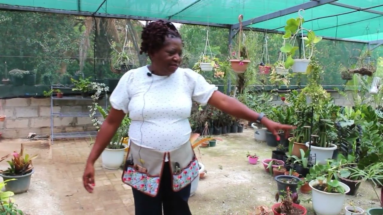 Why a Gardener can never go on vacation | Effect of the recent heat wave on plants