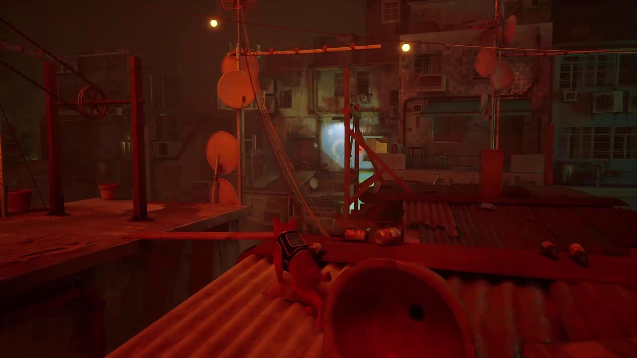 Playing Stray