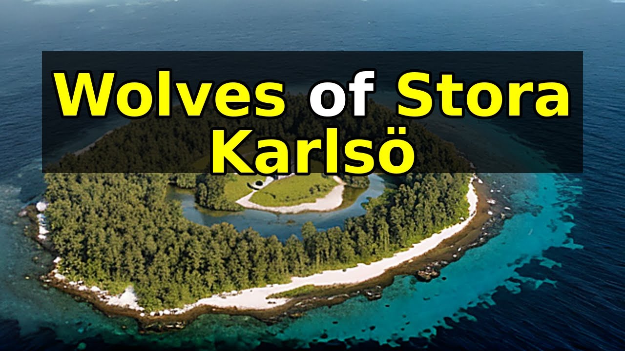 The Mystery of the Wolves of Stora Karlsö: Domestication or Human Control?