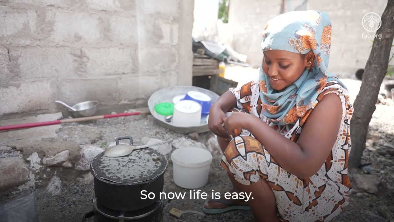 ‘Greening’ the humanitarian response in Uganda and Djibouti