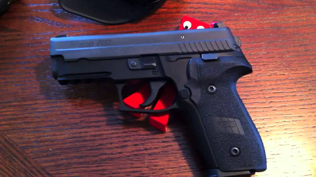 SIG P229 DAK Range Reflection