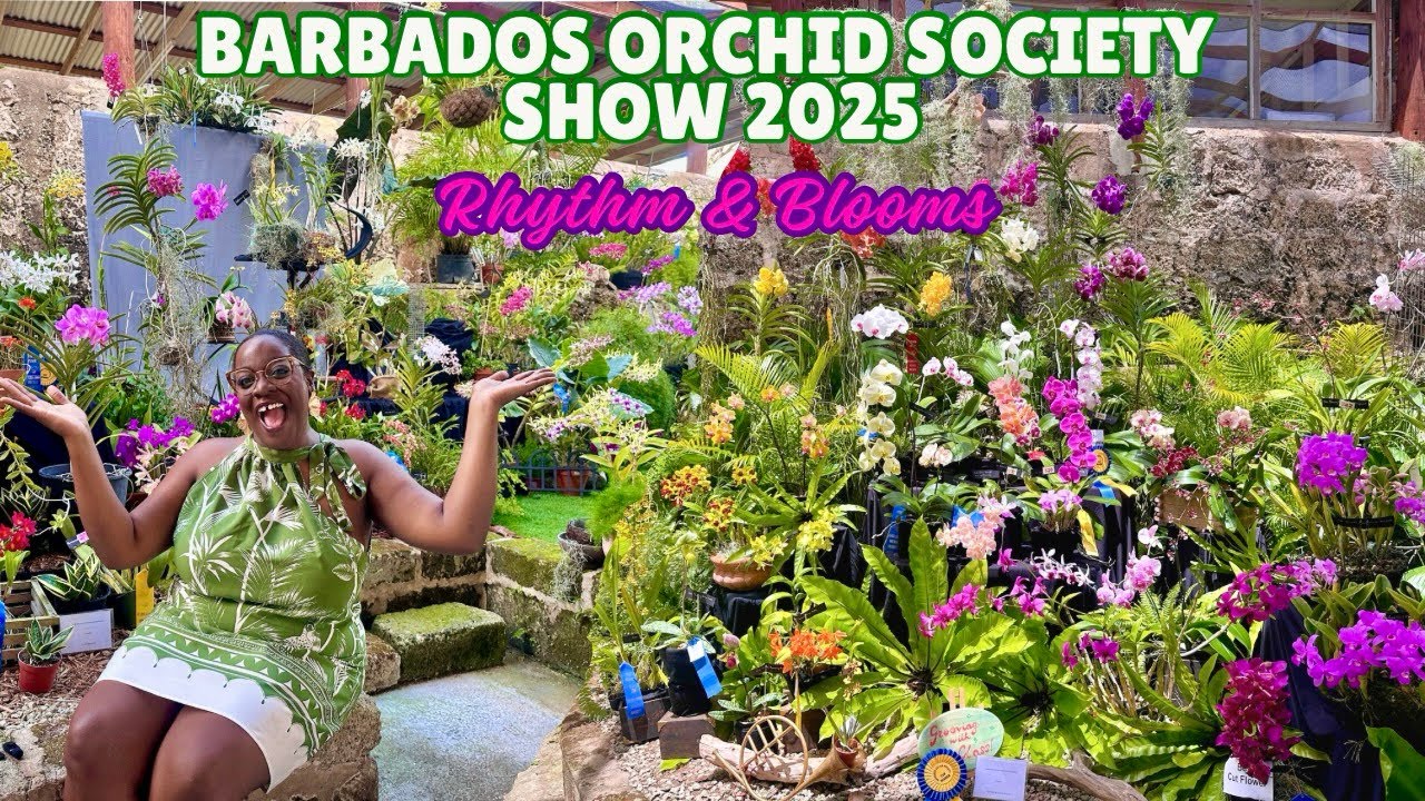 BARBADOS ORCHID SOCIETY SHOW 2025: Rhythm & Blooms!!!