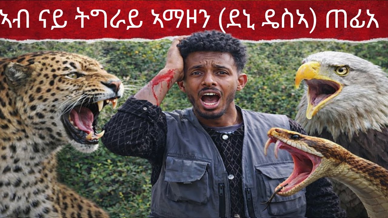 ኣብ ናይ ትግራይ ኣማዞን ውሽጢ ኣትየ መንገዲ ጠፊኡኒ  🌲🌲🌲