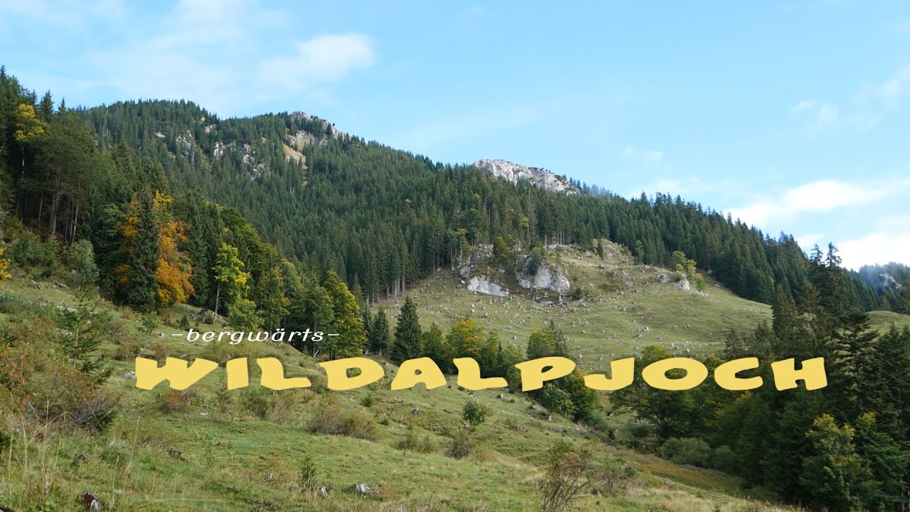 Bergw&auml;rts - Wildalpjoch