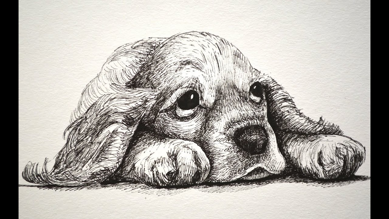 Cómo dibujar un perro cachorro y triste y tierno con marcadores- Arte Divierte