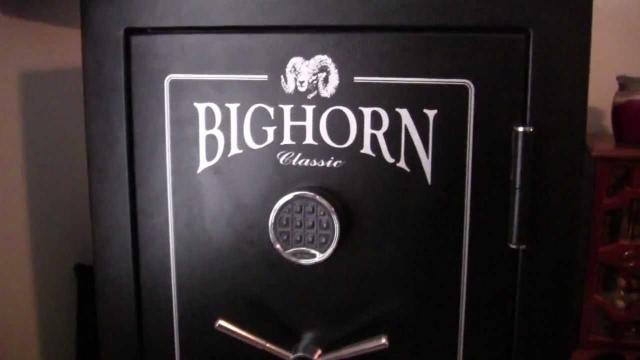 Gun Safe from Costco - Good Value or Waste of Money?