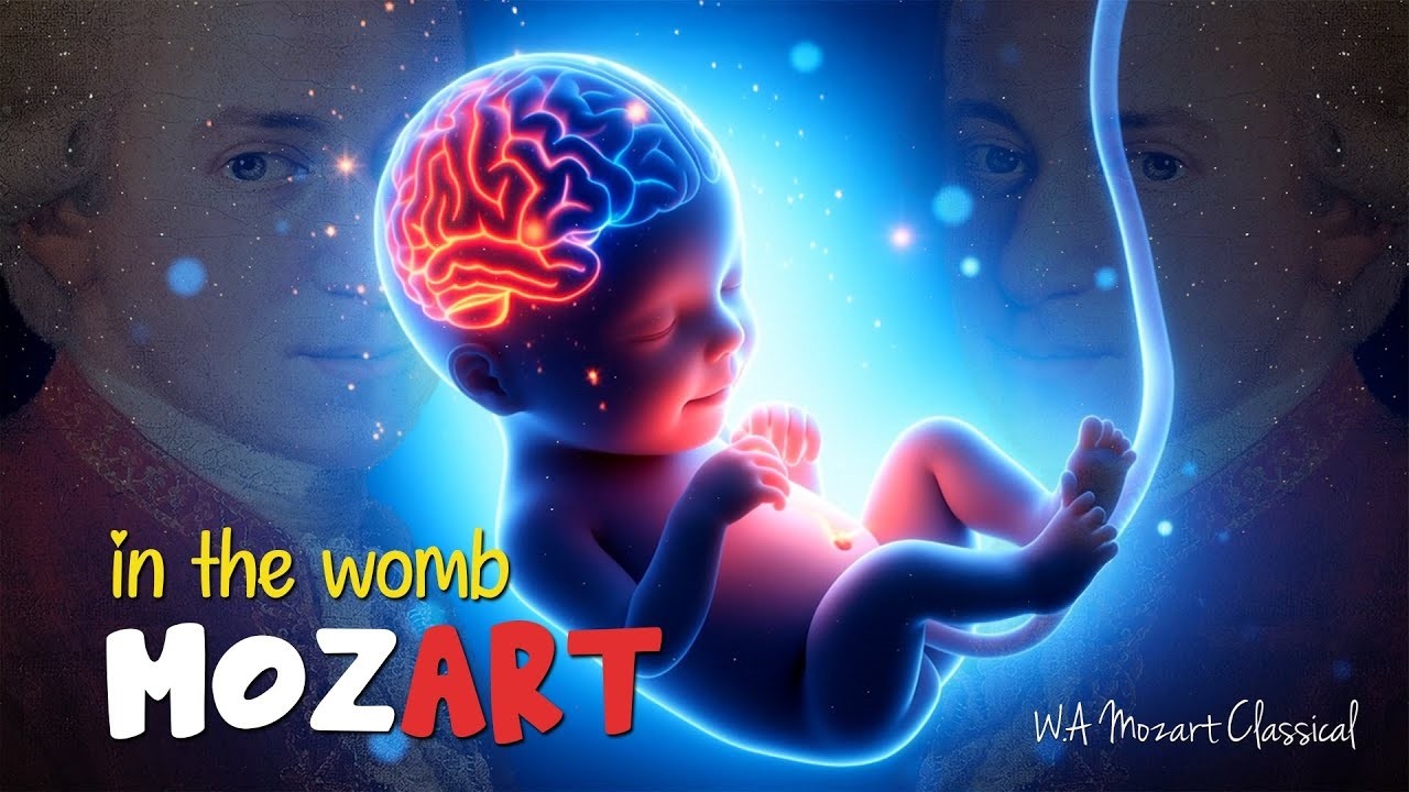 You Won't Believe How Mozart Impacts Babies in Womb In Just 30 Minutes (NO ADS)
