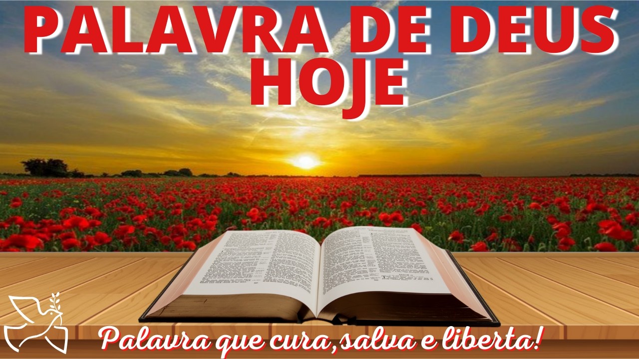 Palavra de Deus para mim hoje | Busque a Jesus pelo motivo certo (Mc 3,7-12)