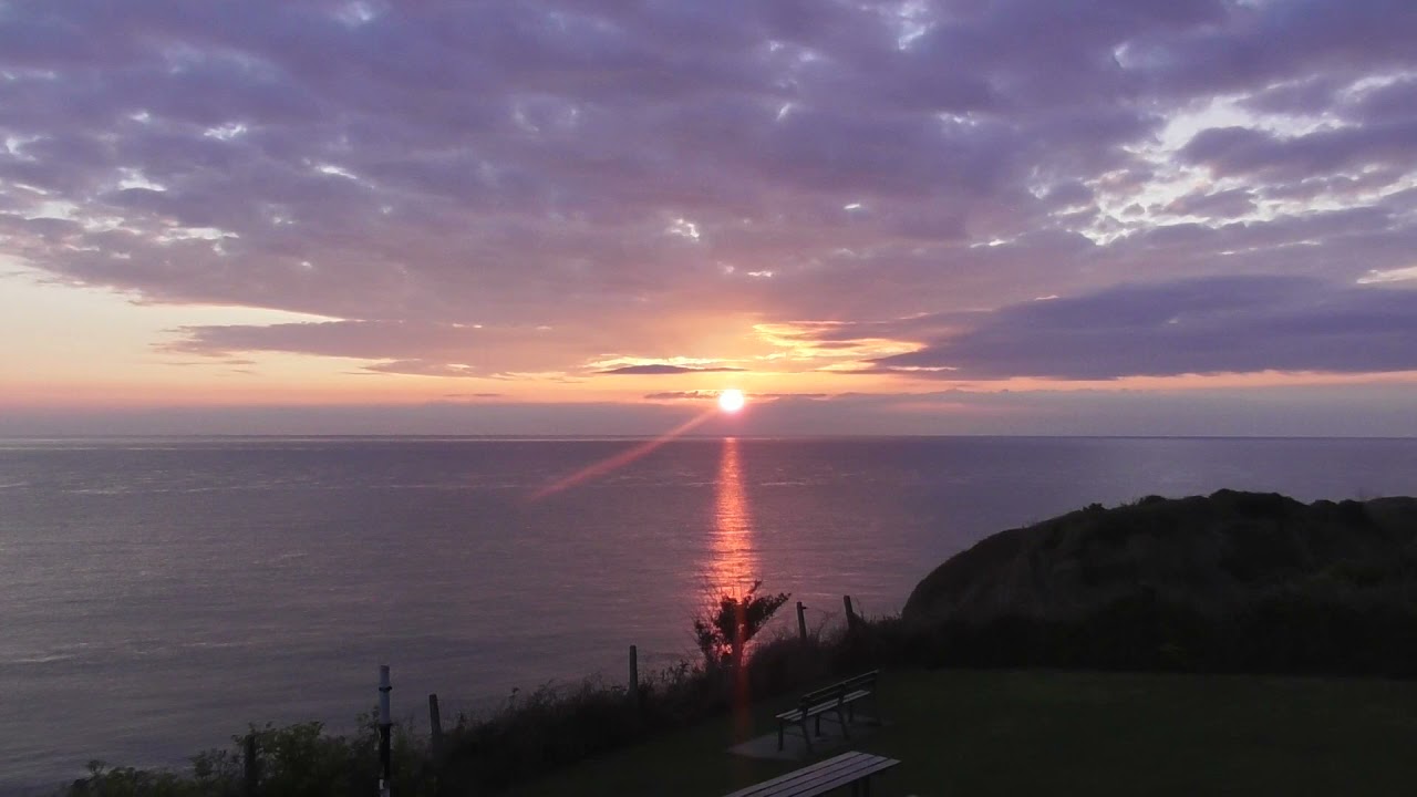 Dawn Chorus 2021 Bray County Wicklow  Ireland. International Dawn Chorus Day 2021 2ed May 2021
