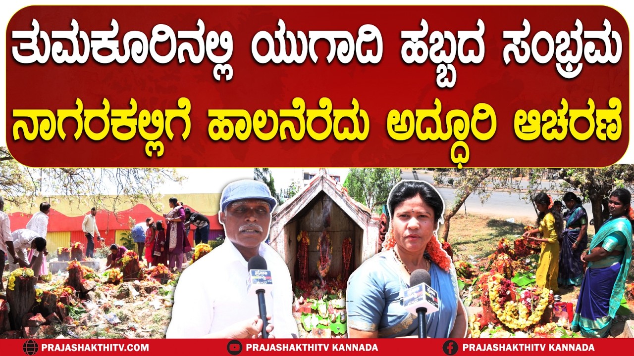 ತುಮಕೂರಿನಲ್ಲಿ ಯುಗಾದಿ ಹಬ್ಬದ ಸಂಭ್ರಮ - ನಾಗರಕಲ್ಲಿಗೆ ಹಾಲನೆರೆದು ಅದ್ಧೂರಿ ಆಚರಣೆ | TUMAKURU NEWS |