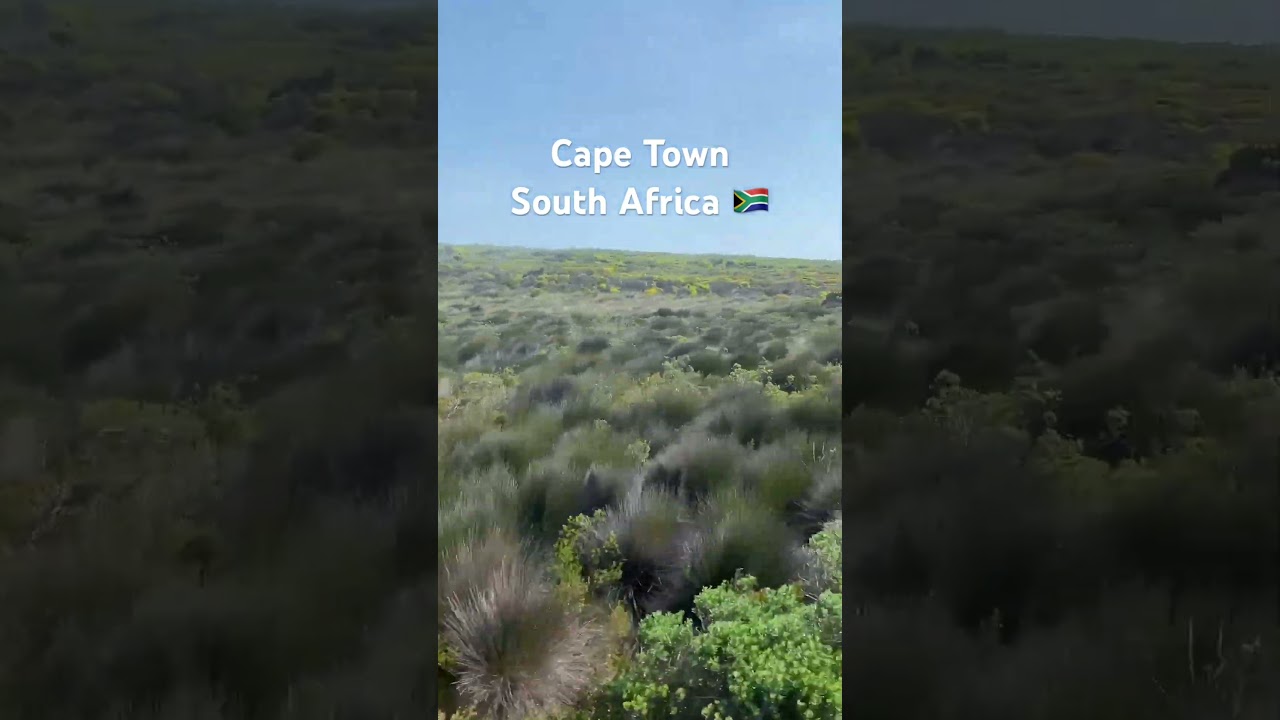 ❤️Cape Town South Africa 🇿🇦 #capetowntourism #africancity #travel #capetownadventure