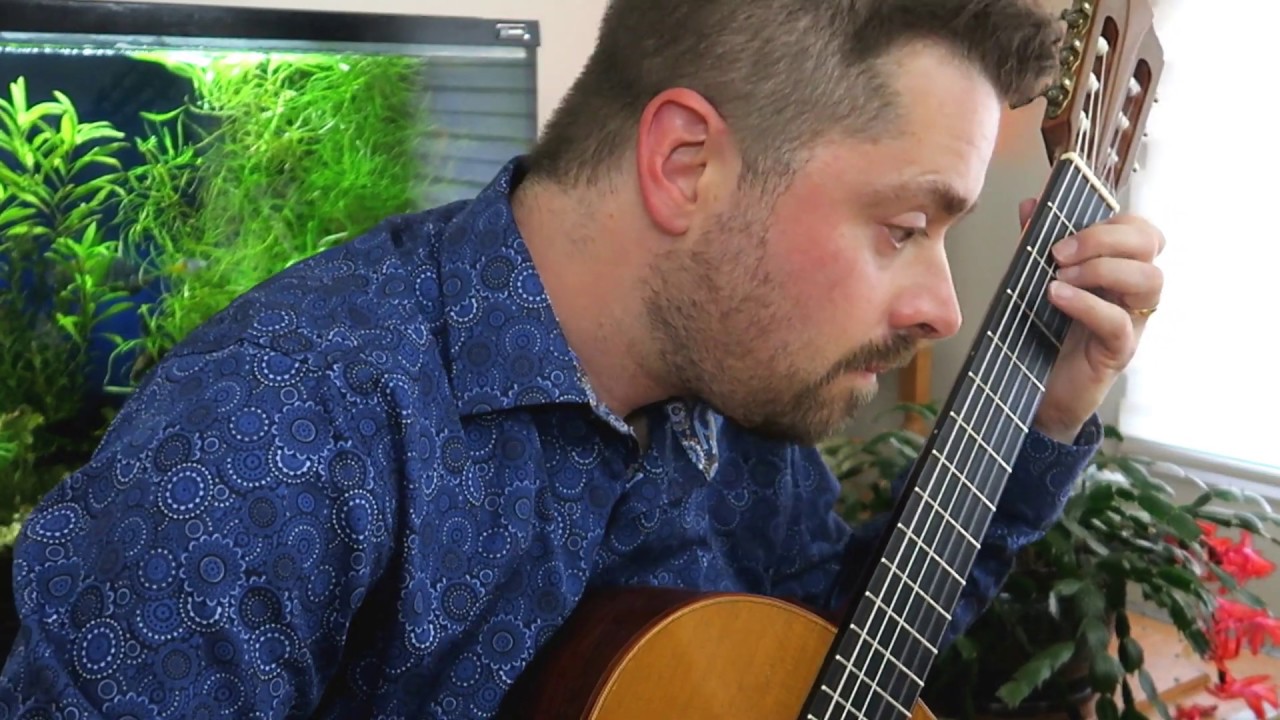 Domingo Semenzato: Choros