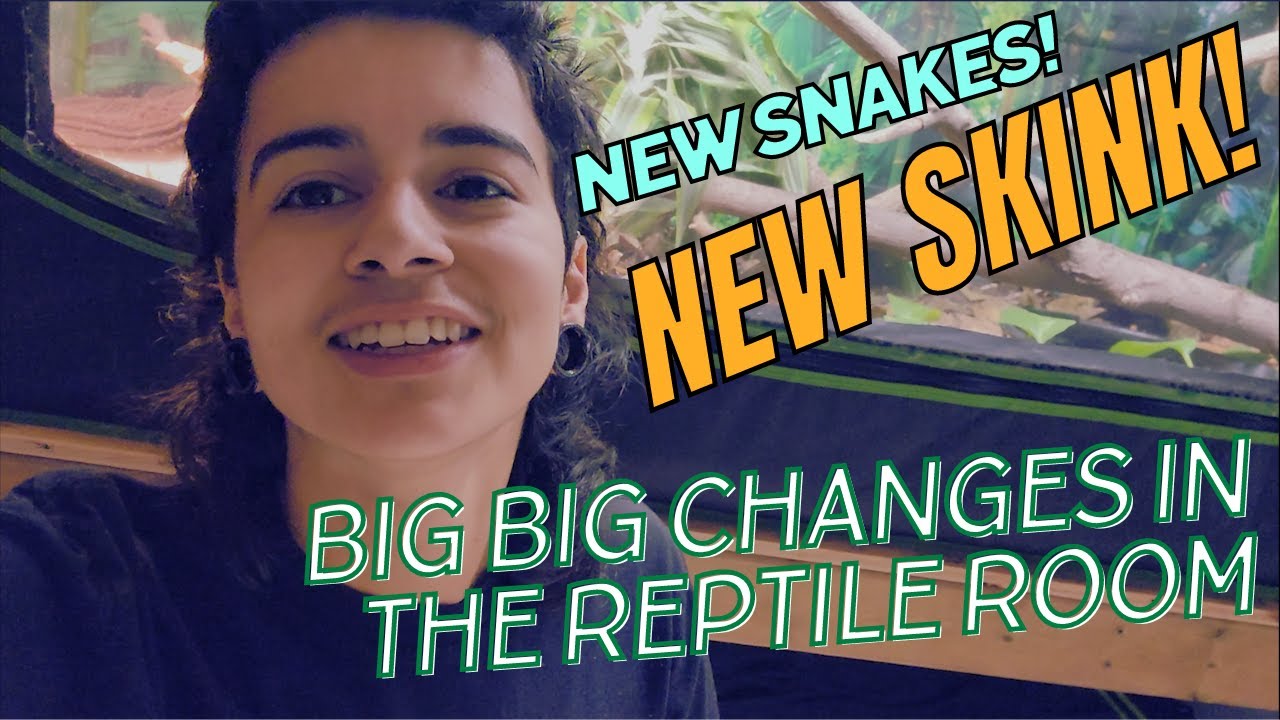 TONS of changes and NEW REPTILES! Reptile Room Progress Update