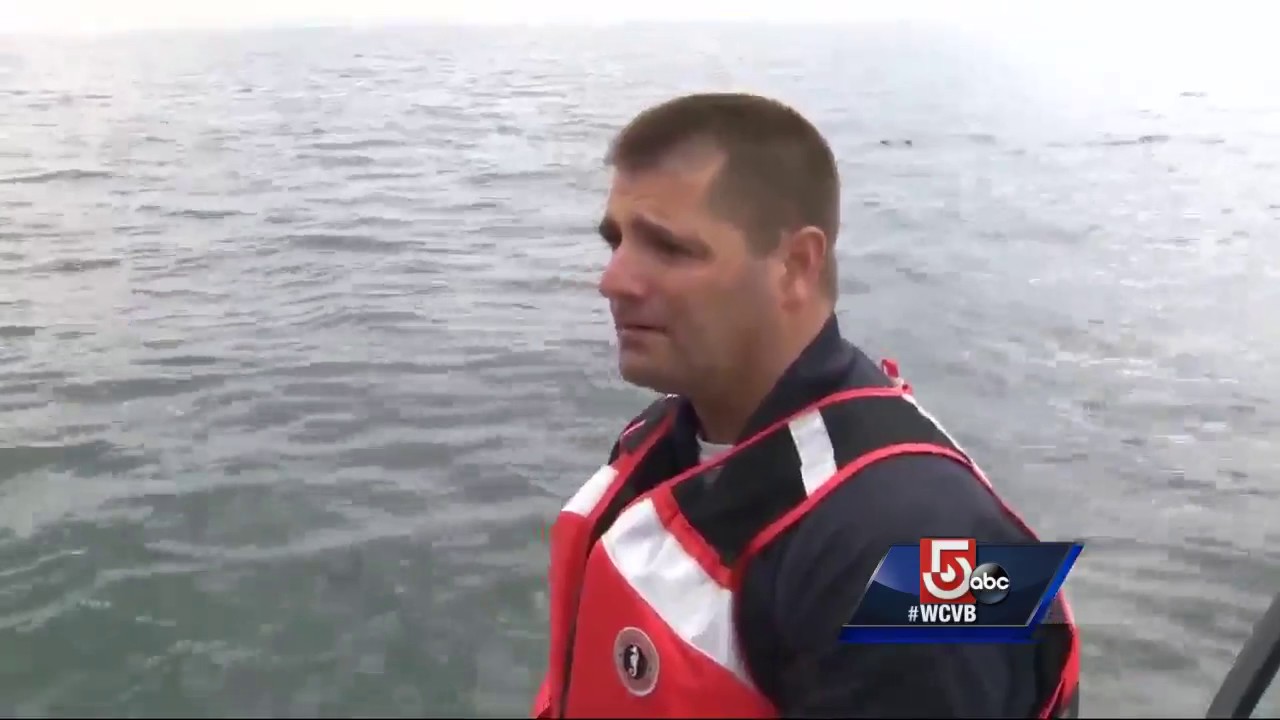 Marshfield harbormaster expects more shark sightings this year