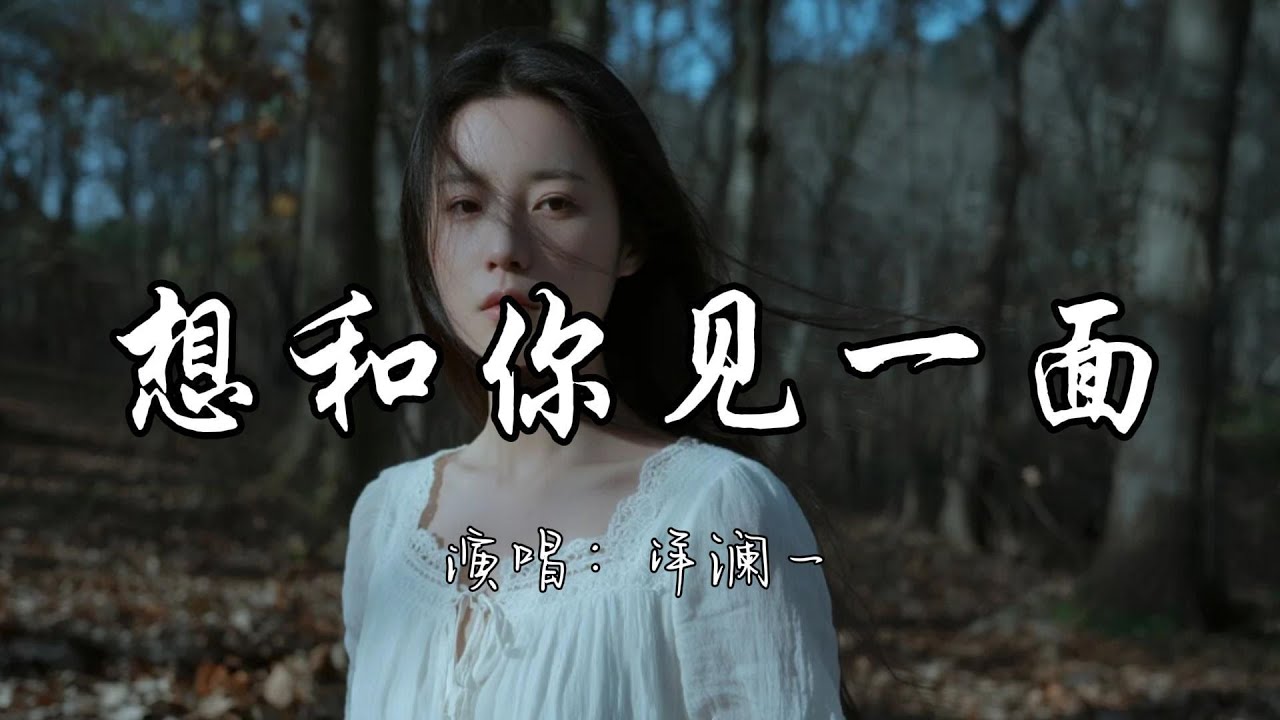 洋澜一 - 想和你见一面『想和你见个面 再次做个了断 当年的我 太过纠缠抱歉。』『动态歌词MV』#新歌更新 #推荐好听的歌曲