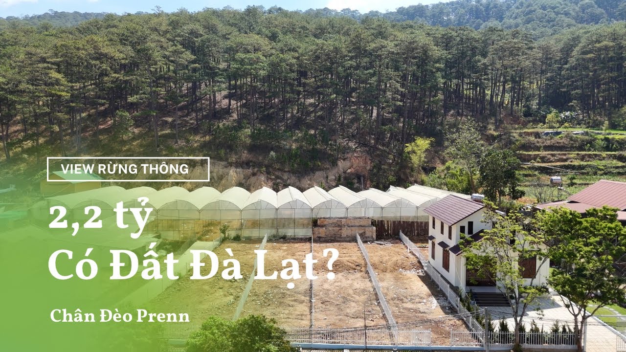 Bán Đất Đà Lạt Gần Đèo Prenn | 4 Lô Đất Chỉ Từ 2,2 Tỷ – Cách Cao Tốc 500m