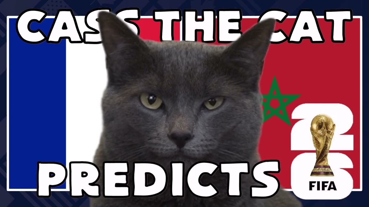 France vs Morocco | 2026 FIFA World Cup Quarter Final | Cass the Cat 🐾 Prediction